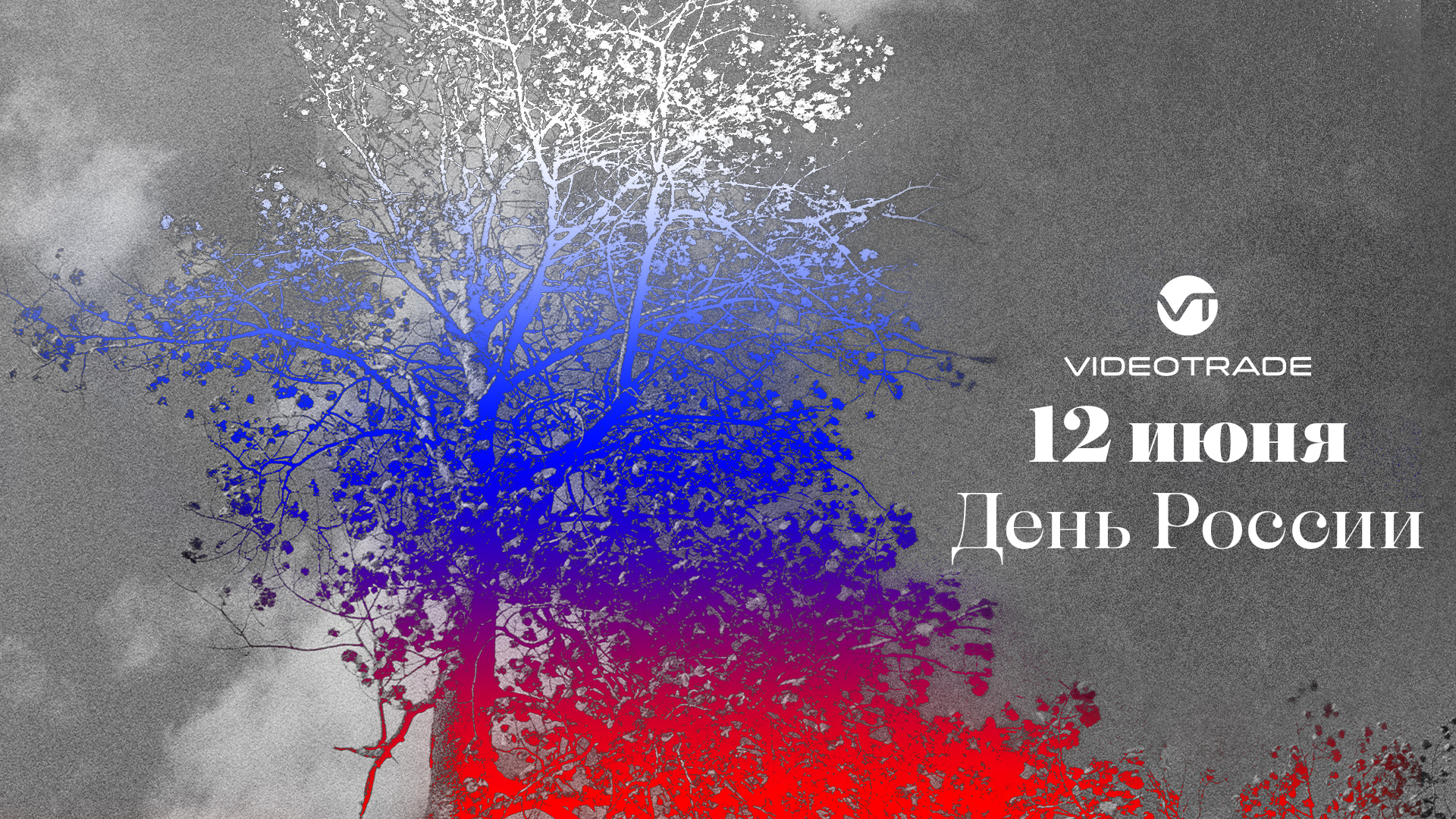 VideoTrade gallery - image 73