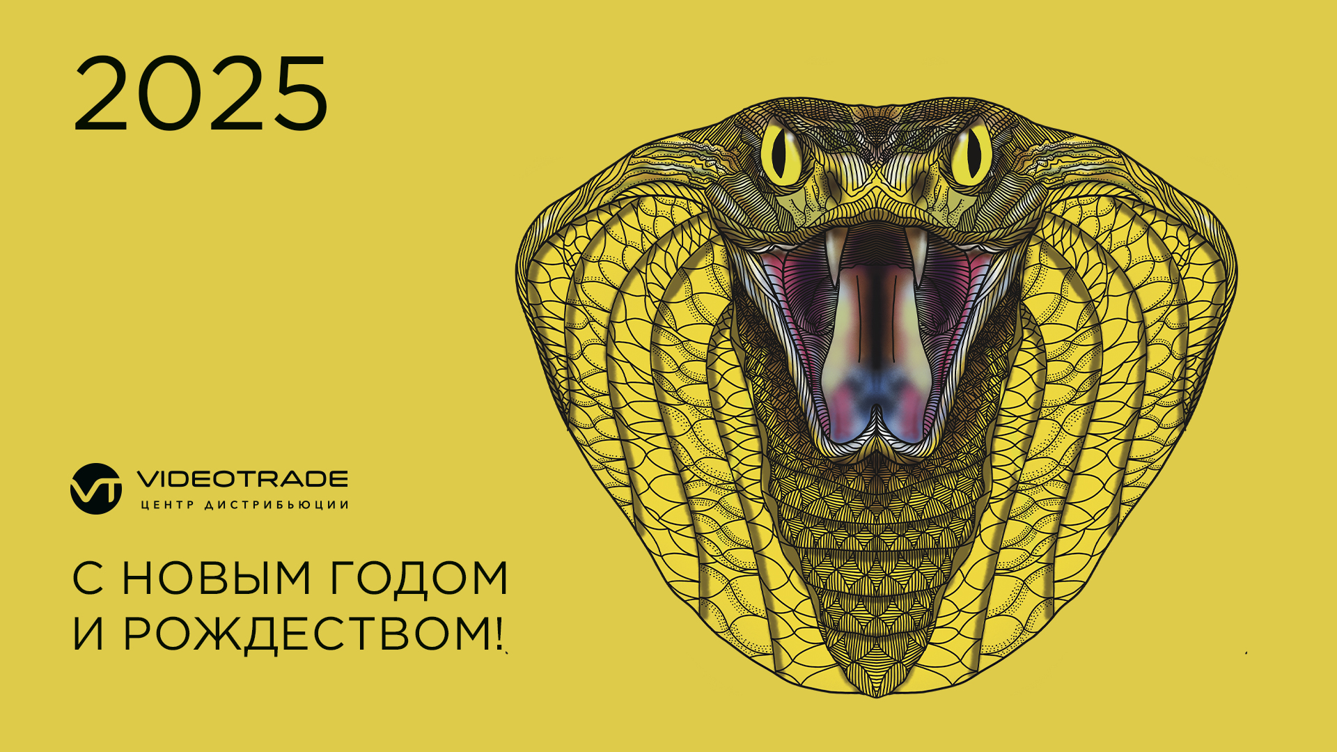 VideoTrade gallery - image 74