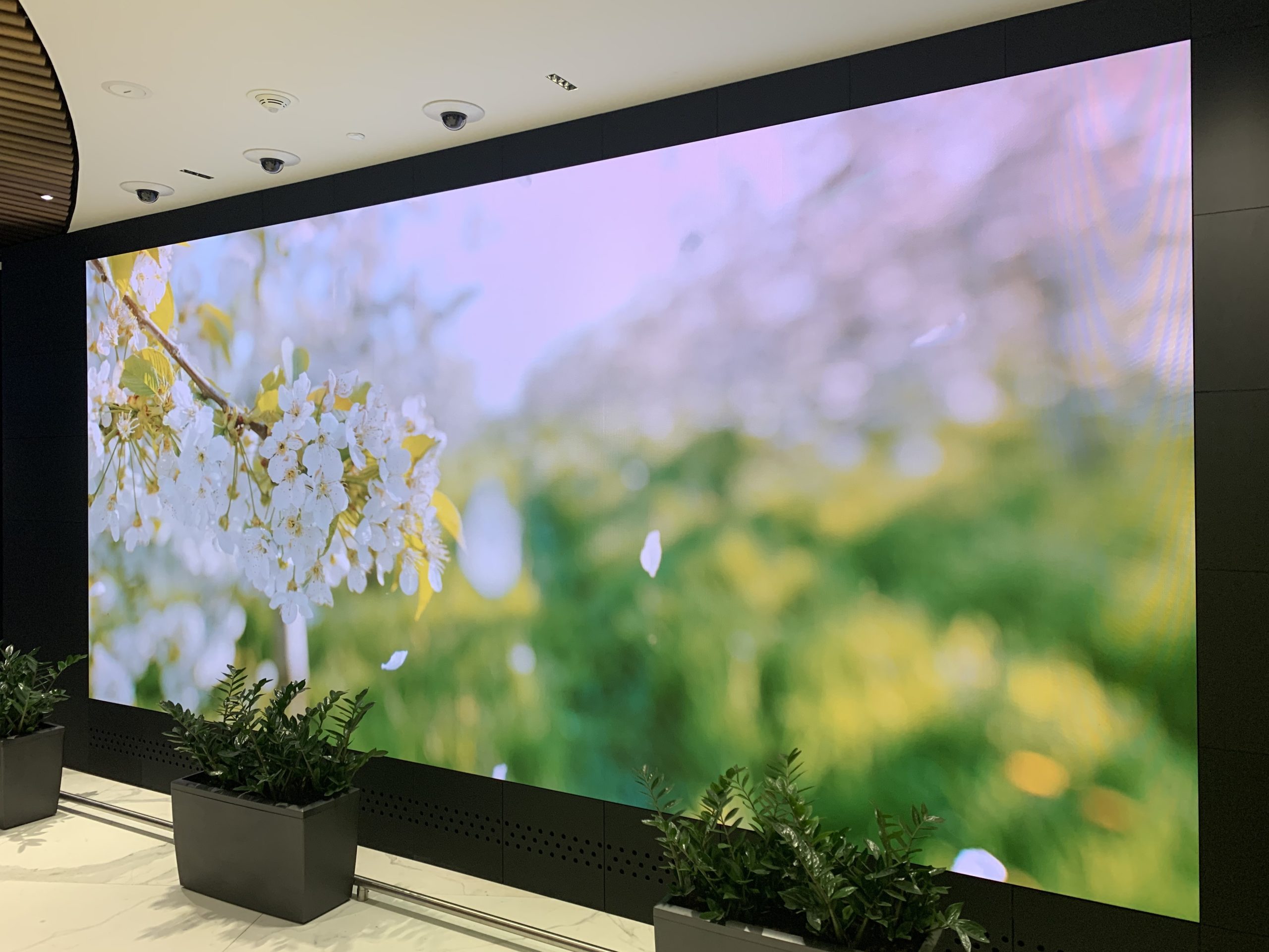 Gazprombank head office entry group — image 2